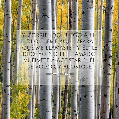 Picture 07 - 1 Samuel 3:5 RVA - Y corriendo luego á Eli, dijo: Heme aquí; - Bible Verse Picture