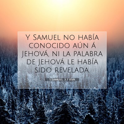 Picture 07 - 1 Samuel 3:7 RVA - Y Samuel no había conocido aún á Jehová, ni - Bible Verse Picture