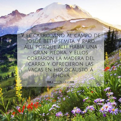 Picture 07 - 1 Samuel 6:14 RVA - Y el carro vino al campo de Josué Beth-semita, y - Bible Verse Picture