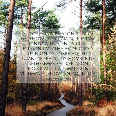 Picture 07 - 1 Samuel 6:15 RVA - Y los Levitas bajaron el arca de Jehová, y la - Bible Verse Picture
