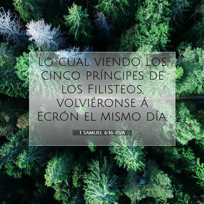 Picture 07 - 1 Samuel 6:16 RVA - Lo cual viendo los cinco príncipes de los - Bible Verse Picture