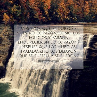 Picture 07 - 1 Samuel 6:6 RVA - Mas ¿por qué endurecéis vuestro corazón, como - Bible Verse Picture