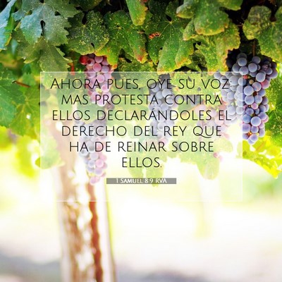Picture 07 - 1 Samuel 8:9 RVA - Ahora pues, oye su voz: mas protesta contra ellos - Bible Verse Picture