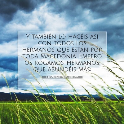 Picture 07 - 1 Tesalonicenses 4:10 RVA - Y también lo hacéis así con todos los hermanos - Bible Verse Picture