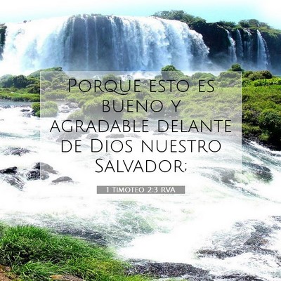 Picture 07 - 1 Timoteo 2:3 RVA - Porque esto es bueno y agradable delante de Dios - Bible Verse Picture