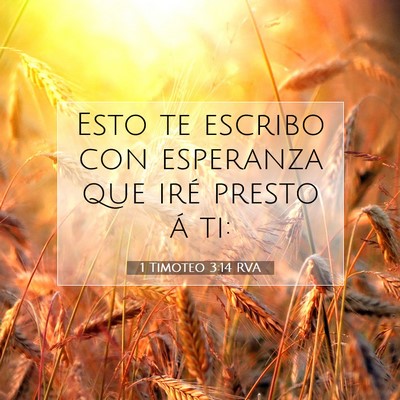 Picture 07 - 1 Timoteo 3:14 RVA - Esto te escribo con esperanza que iré presto á - Bible Verse Picture