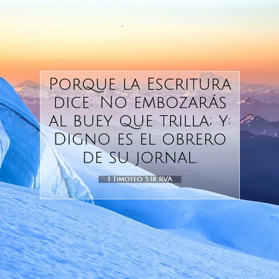 Picture 07 - 1 Timoteo 5:18 RVA - Porque la Escritura dice: No embozarás al buey - Bible Verse Picture