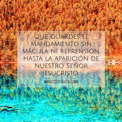 Picture 07 - 1 Timoteo 6:14 RVA - Que guardes el mandamiento sin mácula ni - Bible Verse Picture
