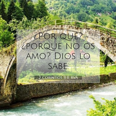 Picture 07 - 2 Corintios 11:11 RVA - ¿Por qué? ¿porque no os amo? Dios lo - Bible Verse Picture