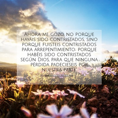 Picture 07 - 2 Corintios 7:9 RVA - Ahora me gozo, no porque hayáis sido - Bible Verse Picture