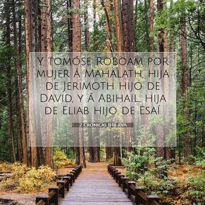 Picture 07 - 2 Crónicas 11:18 RVA - Y tomóse Roboam por mujer á Mahalath, hija de - Bible Verse Picture