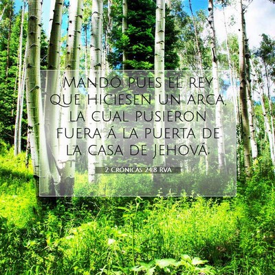 Picture 07 - 2 Crónicas 24:8 RVA - Mandó pues el rey que hiciesen un arca, la cual - Bible Verse Picture