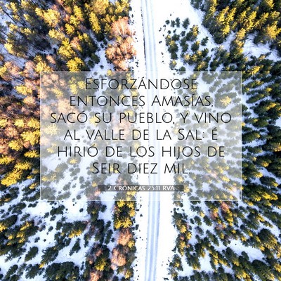 Picture 07 - 2 Crónicas 25:11 RVA - Esforzándose entonces Amasías, sacó su pueblo, - Bible Verse Picture