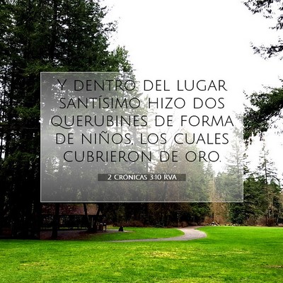 Picture 07 - 2 Crónicas 3:10 RVA - Y dentro del lugar santísimo hizo dos querubines - Bible Verse Picture
