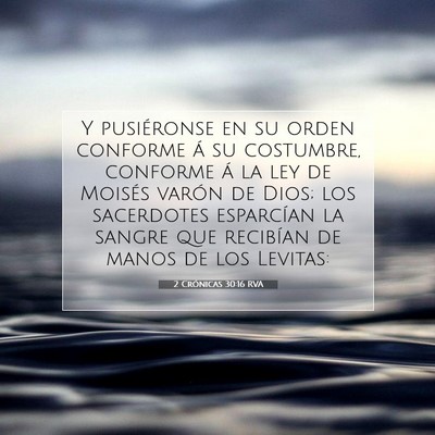 Picture 07 - 2 Crónicas 30:16 RVA - Y pusiéronse en su orden conforme á su - Bible Verse Picture