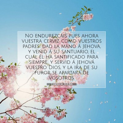 Picture 07 - 2 Crónicas 30:8 RVA - No endurezcáis pues ahora vuestra cerviz como - Bible Verse Picture