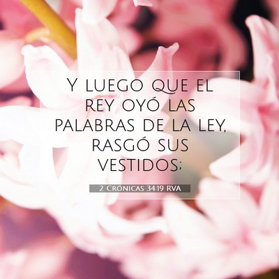 Picture 07 - 2 Crónicas 34:19 RVA - Y luego que el rey oyó las palabras de la ley, - Bible Verse Picture