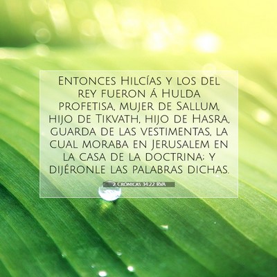 Picture 07 - 2 Crónicas 34:22 RVA - Entonces Hilcías y los del rey fueron á Hulda - Bible Verse Picture