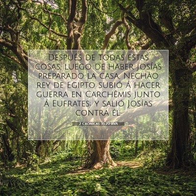 Picture 07 - 2 Crónicas 35:20 RVA - Después de todas estas cosas, luego de haber - Bible Verse Picture