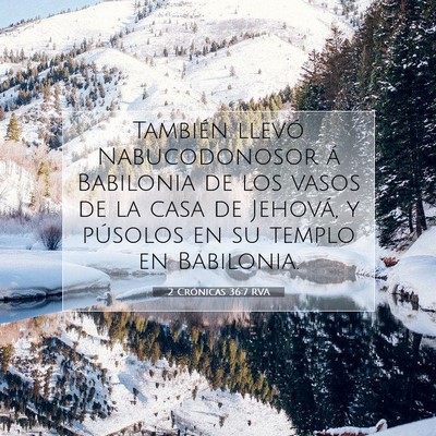 Picture 07 - 2 Crónicas 36:7 RVA - También llevó Nabucodonosor á Babilonia de los - Bible Verse Picture