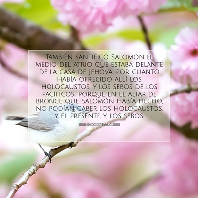 Picture 07 - 2 Crónicas 7:7 RVA - También santificó Salomón el medio del atrio - Bible Verse Picture