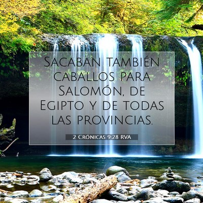 Picture 07 - 2 Crónicas 9:28 RVA - Sacaban también caballos para Salomón, de - Bible Verse Picture
