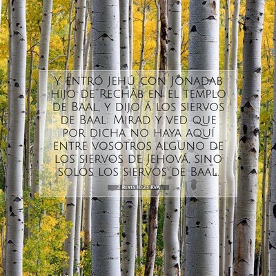 Picture 07 - 2 Reyes 10:23 RVA - Y entró Jehú con Jonadab hijo de Rechâb en el - Bible Verse Picture