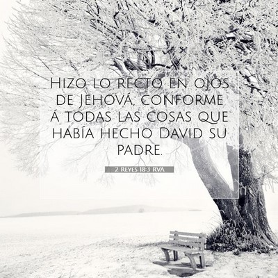 Picture 07 - 2 Reyes 18:3 RVA - Hizo lo recto en ojos de Jehová, conforme á - Bible Verse Picture