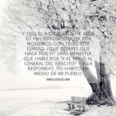 Picture 07 - 2 Reyes 4:13 RVA - Y dijo él á Giezi: Dile: He aquí tú has - Bible Verse Picture