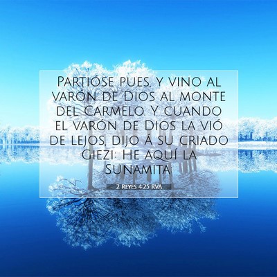 Picture 07 - 2 Reyes 4:25 RVA - Partióse pues, y vino al varón de Dios al monte - Bible Verse Picture
