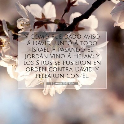 Picture 07 - 2 Samuel 10:17 RVA - Y como fué dado aviso á David, juntó á todo - Bible Verse Picture