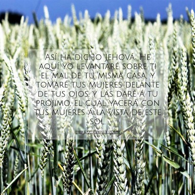Picture 07 - 2 Samuel 12:11 RVA - Así ha dicho Jehová: He aquí yo levantaré - Bible Verse Picture