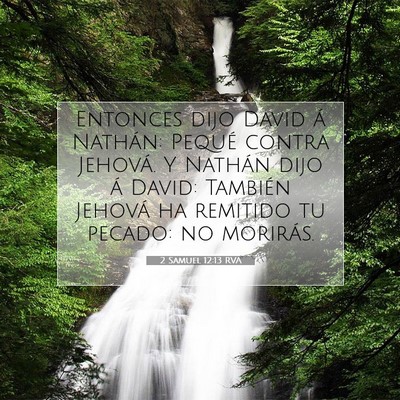 Picture 07 - 2 Samuel 12:13 RVA - Entonces dijo David á Nathán: Pequé contra - Bible Verse Picture