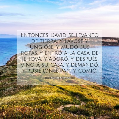 Picture 07 - 2 Samuel 12:20 RVA - Entonces David se levantó de tierra, y lavóse y - Bible Verse Picture