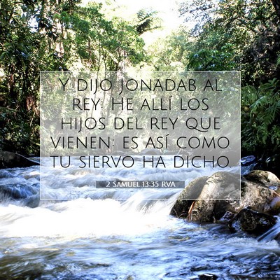 Picture 07 - 2 Samuel 13:35 RVA - Y dijo Jonadab al rey: He allí los hijos del rey - Bible Verse Picture