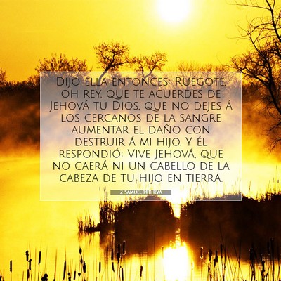Picture 07 - 2 Samuel 14:11 RVA - Dijo ella entonces: Ruégote, oh rey, que te - Bible Verse Picture