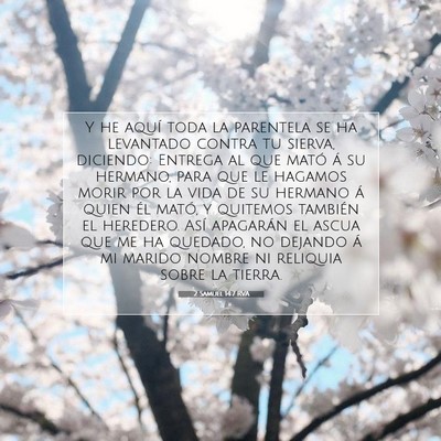 Picture 07 - 2 Samuel 14:7 RVA - Y he aquí toda la parentela se ha levantado - Bible Verse Picture