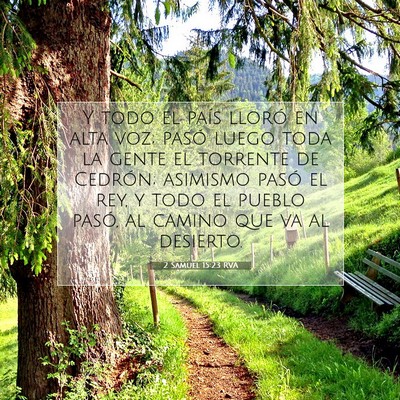 Picture 07 - 2 Samuel 15:23 RVA - Y todo el país lloró en alta voz; pasó luego - Bible Verse Picture