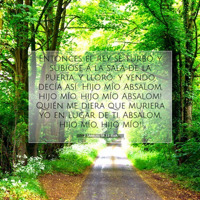 Picture 07 - 2 Samuel 18:33 RVA - Entonces el rey se turbó, y subióse á la sala - Bible Verse Picture