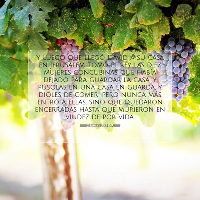 Picture 07 - 2 Samuel 20:3 RVA - Y luego que llegó David á su casa en Jerusalem, - Bible Verse Picture