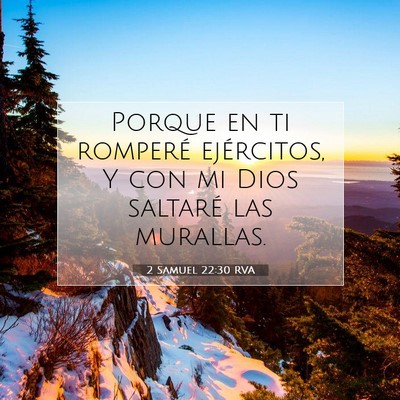 Picture 07 - 2 Samuel 22:30 RVA - Porque en ti romperé ejércitos, Y con mi Dios - Bible Verse Picture
