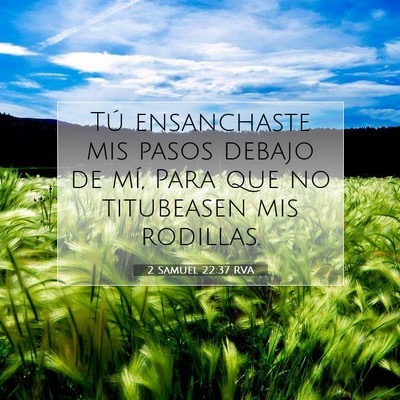 Picture 07 - 2 Samuel 22:37 RVA - Tú ensanchaste mis pasos debajo de mí, Para que - Bible Verse Picture