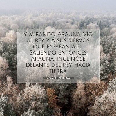 Picture 07 - 2 Samuel 24:20 RVA - Y mirando Arauna, vió al rey y á sus siervos - Bible Verse Picture
