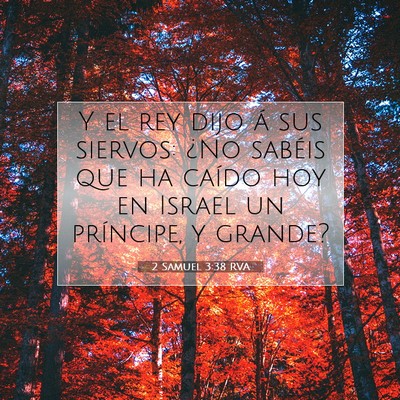 Picture 07 - 2 Samuel 3:38 RVA - Y el rey dijo á sus siervos: ¿No sabéis que ha - Bible Verse Picture