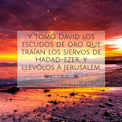 Picture 07 - 2 Samuel 8:7 RVA - Y tomó David los escudos de oro que traían los - Bible Verse Picture