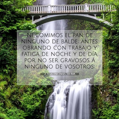 Picture 07 - 2 Tesalonicenses 3:8 RVA - Ni comimos el pan de ninguno de balde; antes, - Bible Verse Picture