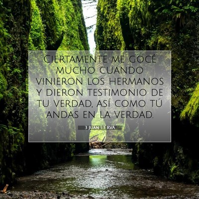 Picture 07 - 3 Juan 1:3 RVA - Ciertamente me gocé mucho cuando vinieron los - Bible Verse Picture
