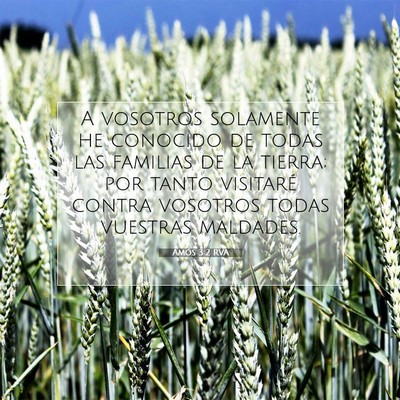 Picture 07 - Amós 3:2 RVA - A vosotros solamente he conocido de todas las - Bible Verse Picture