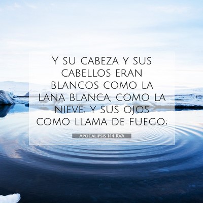 Picture 07 - Apocalipsis 1:14 RVA - Y su cabeza y sus cabellos eran blancos como la - Bible Verse Picture
