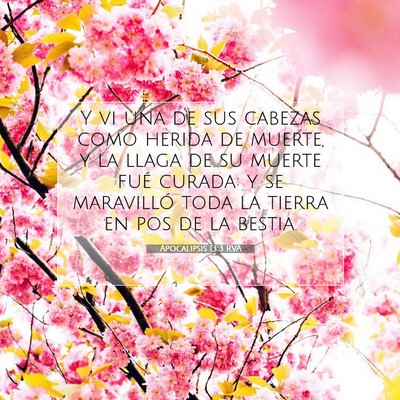 Picture 07 - Apocalipsis 13:3 RVA - Y vi una de sus cabezas como herida de muerte, y - Bible Verse Picture